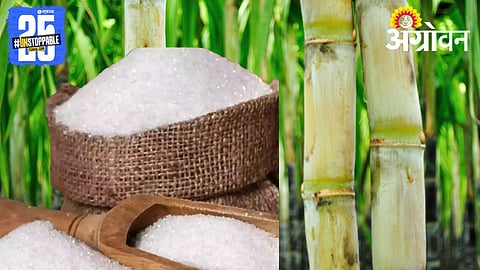 Sugar production statistics India