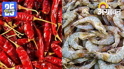 India Exports To China