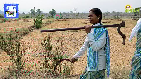 Women in Agriculture