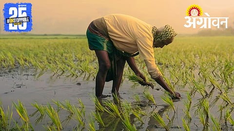 Legal Guarantee On MSP