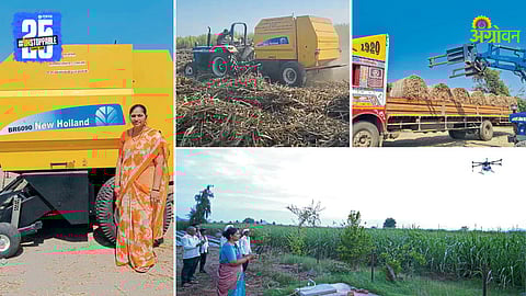 Sugarcane Crash Management