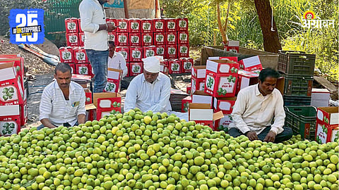 Apple Ber Market