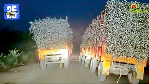 Sugarcane Transport