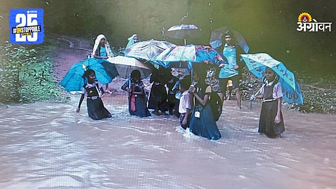 Nostalgic childhood stories