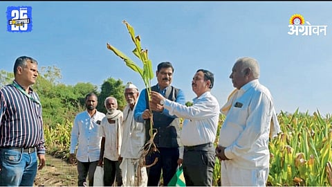 Agriculture Advisory