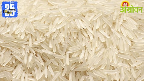 Basmati Rice Exports