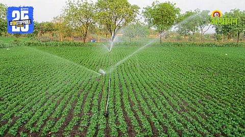 Improved groundnut farming techniques