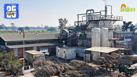 Sugar Industry