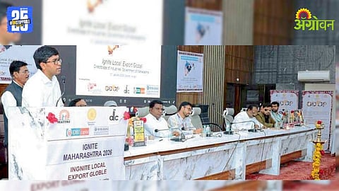 Industrial Development