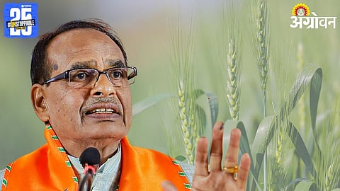 Wheat Production, Shivraj Singh Chouhan
