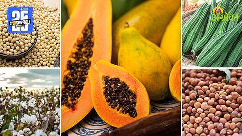 Daily Commodity Rates