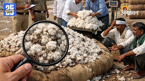 Cotton Scam
