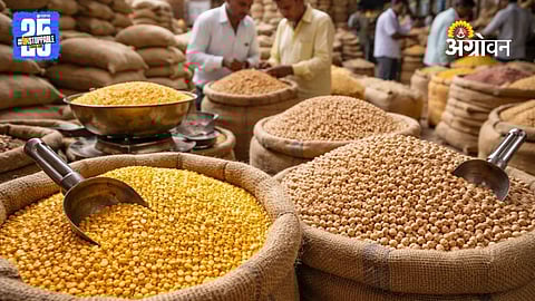 Pulses Market 