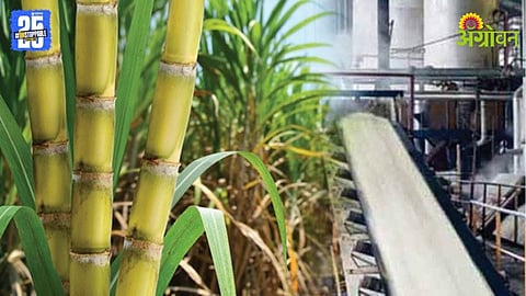 Sugarcane Crushing Season