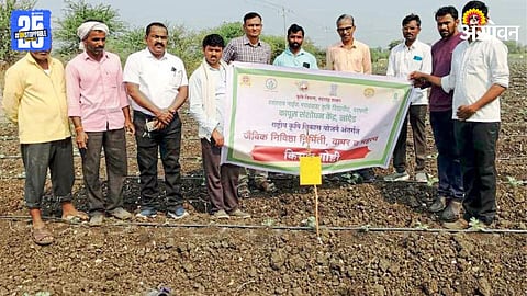 Agriculture Innovation