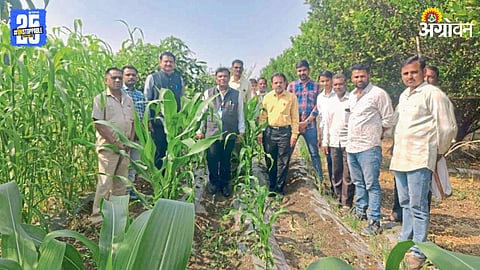 Agricultural Scientists