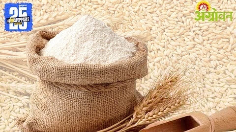 Wheat Flour Export: गहू पिठाच्या ५ लाख टन निर्यातीस परवानगी, केंद्राचा निर्णय