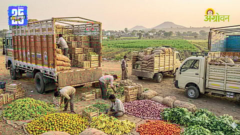 Post Harvest Management