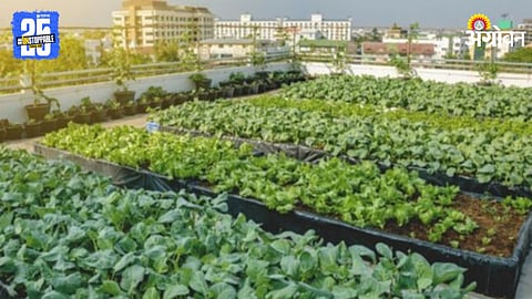 Urban Agriculture