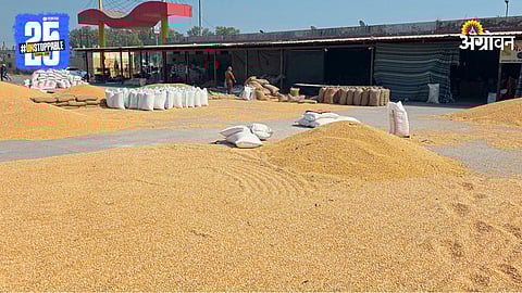 future of agricultural markets