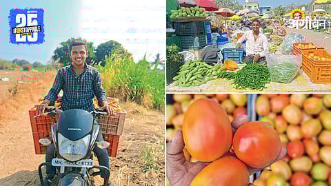 Vegetable Success Story