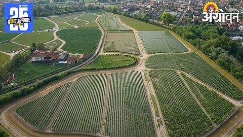 China Agricultural