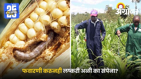 Maize Armyworm Spraying