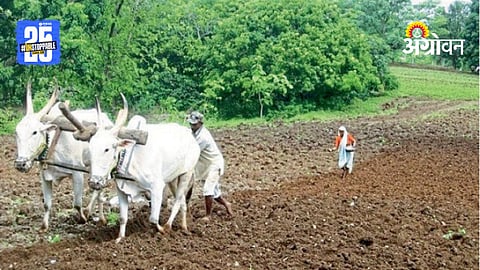 eco-friendly farming methods
