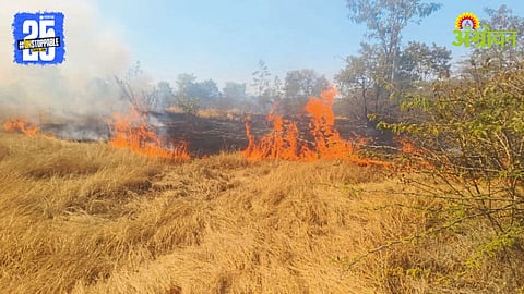 Grazing Land Fire
