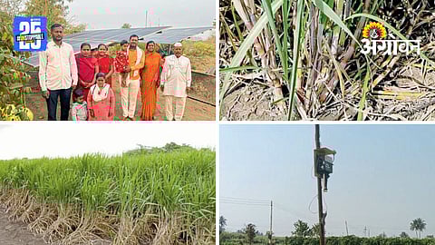 AI In Sugarcane Farming