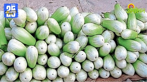 Brinjal Market