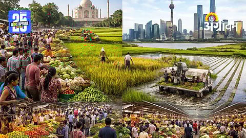 China agricultural development