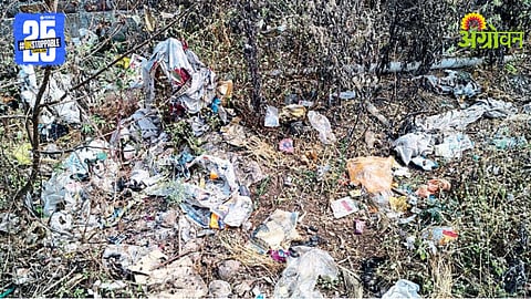 Agricultural Pollution