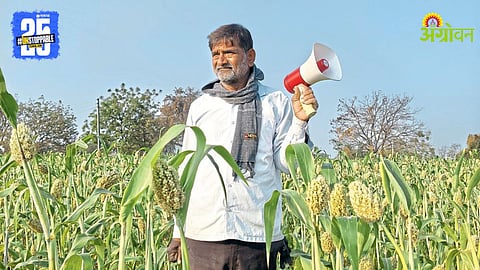 Digital Bird Protection