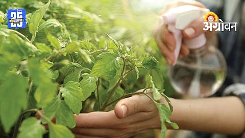 Pesticide Regulation