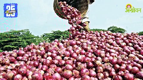 Onion Market