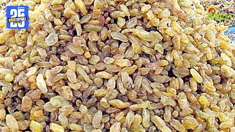 Illegal Raisin Import