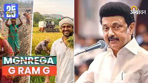 Chief Minister M. K. Stalin