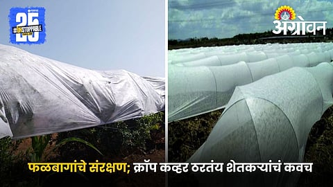 fruit orchard protection