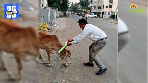 Animal Husbandry Departmen