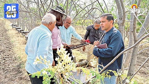 Honey Farming: मधमाशीपालन बळकटीकरणासाठी डॉ. सुरोशे यांनी केले मार्गदर्शन