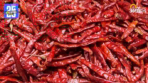 Red Chilli