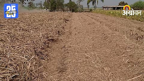 Trash Management Competition