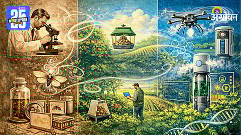 Insect communication