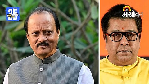 Raj Thackeray On Ajit Pawar