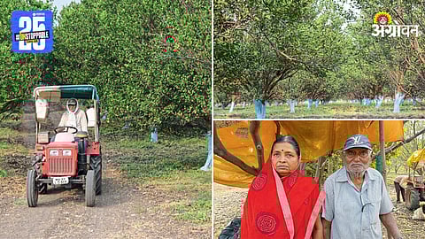 Prabhakarrao Kalkar and their Farm