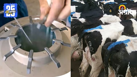 Artificial Insemination