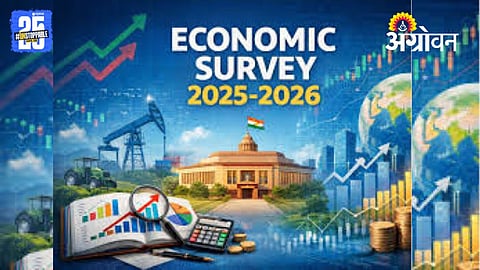 Economic Survey