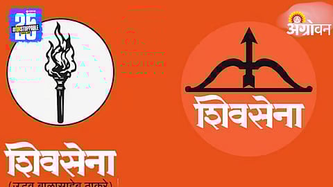 Local Body Elections