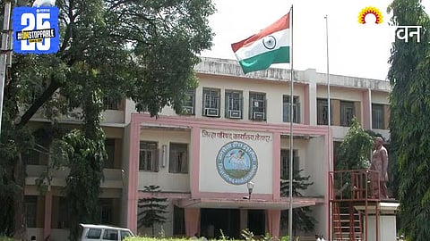 Local Body Elections